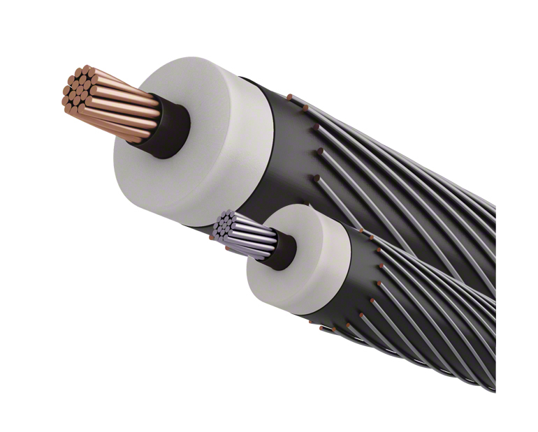 primary ud